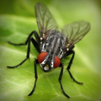 /album/reoticallaineck/photolia-a01-jpg/